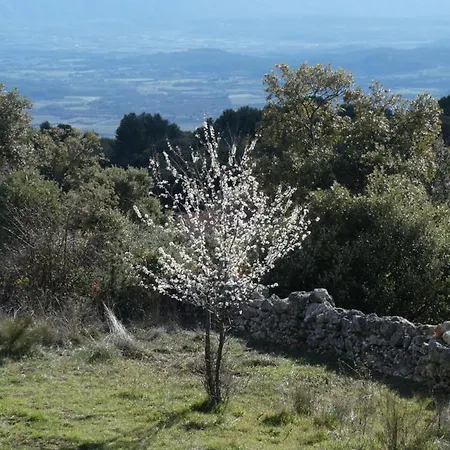 Guest house Le Jas Des Aiguiers